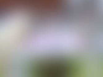 Reddy Anna Analysis: Tilting Point on Cricket’s Most Famously Sloped Stage – Lord’s Cricket Ground