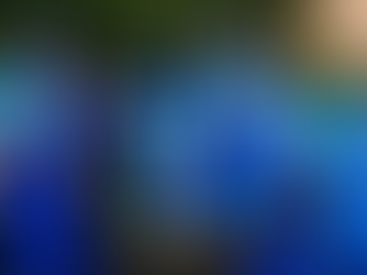 Italy Create History: Qualify for T20 World Cup 2026 in India & Sri Lanka | Reddy Anna Exclusive Coverage